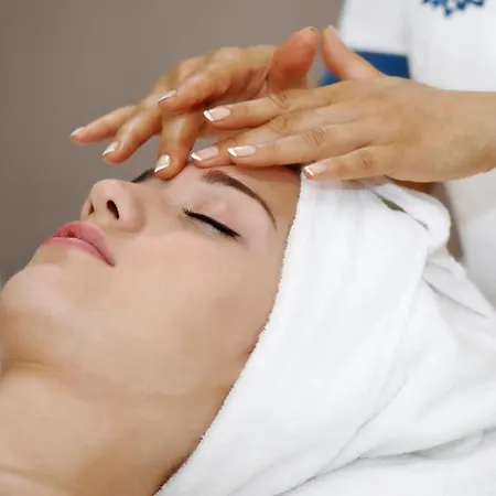 ホテル クラウン プラザ コンベンション センター ＆ サーマル スパ ブルサ