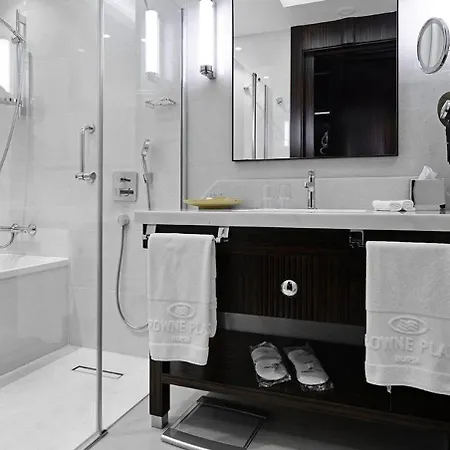 Crowne Plaza Convention Center & Thermal By Ihg Bursa