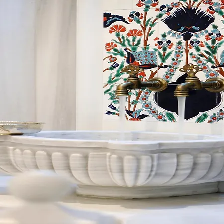 크라운 플라자 부르사 컨벤션 센터 앤드 테르말 스파 5*