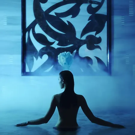 크라운 플라자 부르사 컨벤션 센터 앤드 테르말 스파 호텔